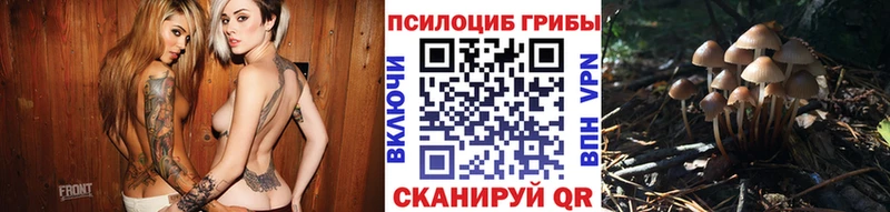 Псилоцибиновые грибы Magic Shrooms  закладка  Новомичуринск 